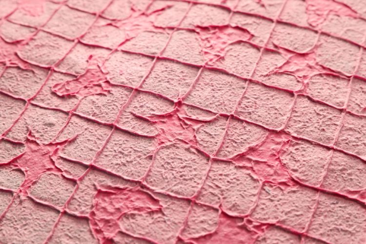 Signs Your Skin Issues May Be Linked to Gut Health