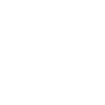 Body surgery